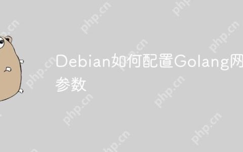 Debian如何配置Golang网络参数