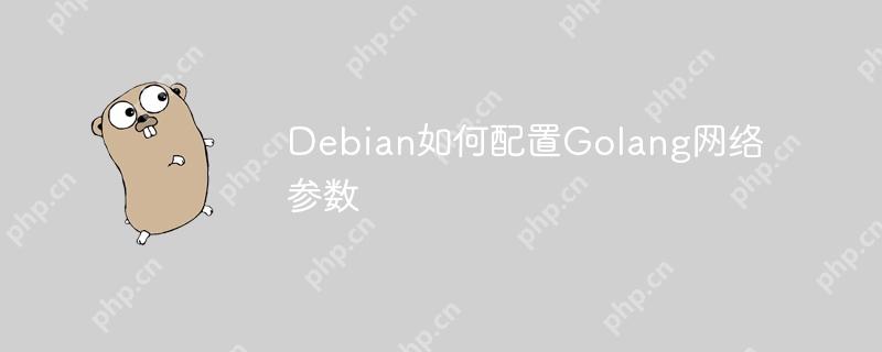 Debian如何配置Golang网络参数