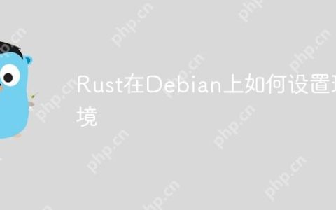 Rust在Debian上如何设置环境