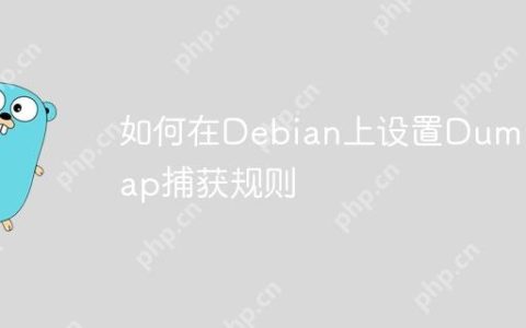 如何在Debian上设置Dumpcap捕获规则