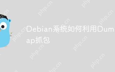Debian系统如何利用Dumpcap抓包