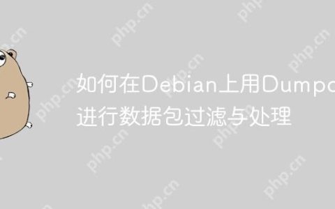 如何在Debian上用Dumpcap进行数据包过滤与处理