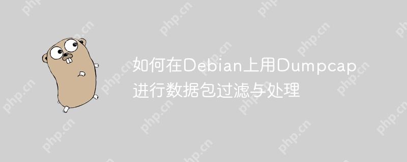 如何在debian上用dumpcap进行数据包过滤与处理