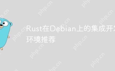 Rust在Debian上的集成开发环境推荐