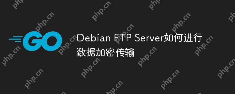 debian ftp server如何进行数据加密传输