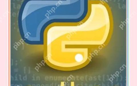 python中bool是什么类型 python布尔值bool的转换规则