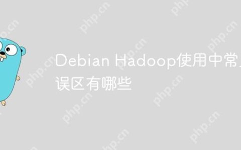 Debian Hadoop使用中常见误区有哪些