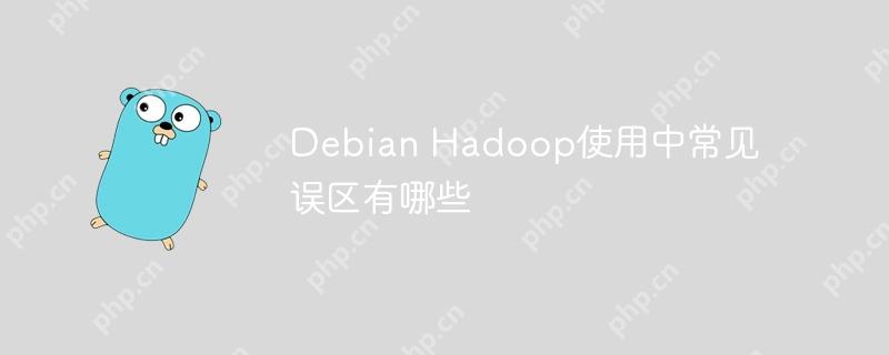debian hadoop使用中常见误区有哪些