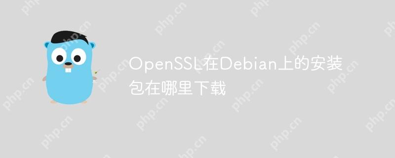 openssl在debian上的安装包在哪里下载