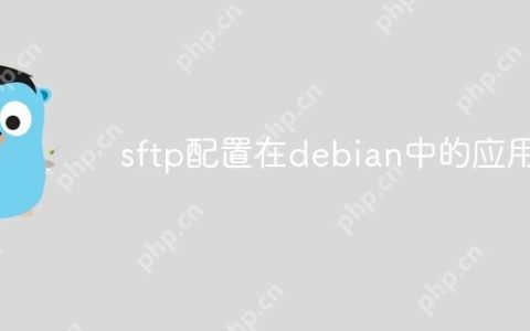 sftp配置在debian中的应用