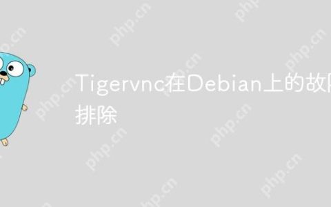 Tigervnc在Debian上的故障排除