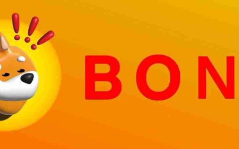 Meme硬币市场充满了沉迷，因为Bonk经历了陡峭的回调
