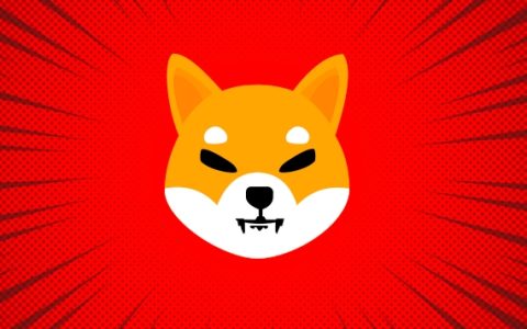 柴犬币SHIB历史价格数据大全（2020年发行到2025年）