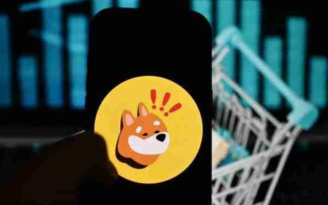 Bonk价格行动在5月来回来回，现在的加密货币现在已经回到了它开始的地方