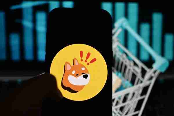 Bonk价格行动在5月来回来回,现在的加密货币现在已经回到了它开始的地方