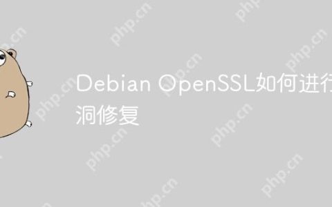 Debian OpenSSL如何进行漏洞修复