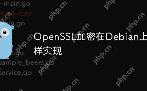 OpenSSL加密在Debian上怎样实现