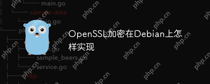 openssl加密在debian上怎样实现