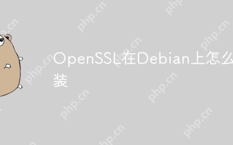 OpenSSL在Debian上怎么安装