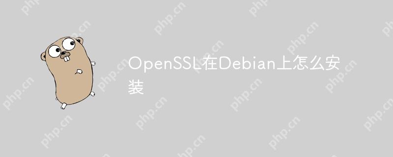 openssl在debian上怎么安装