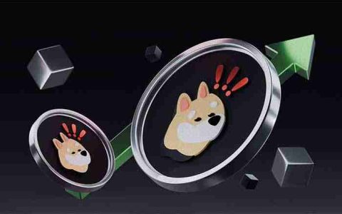 BONK币怎么样？BONK是一个好的投资选择吗？