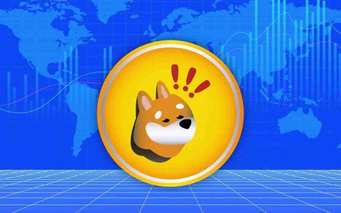 BONK（BONK）价格预测：模因硬币会继续其看涨势头吗？