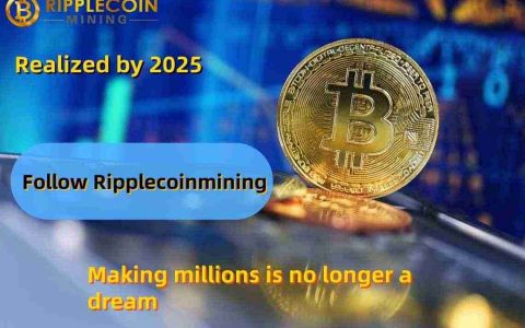 随着比特币（BTC）的价格突破了110,000美元的历史标记