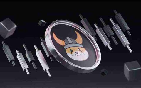 FLOKI币价格预测（2025-2030）：FLOKI币未来会涨到多高？