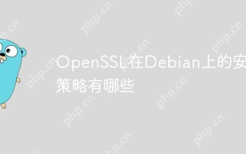 OpenSSL在Debian上的安全策略有哪些