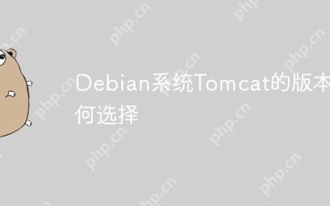 Debian系统Tomcat的版本如何选择