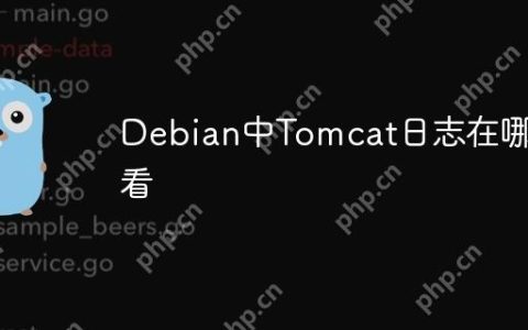 Debian中Tomcat日志在哪查看