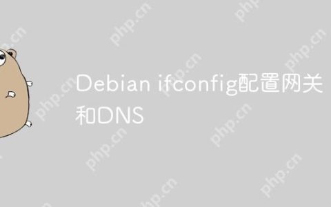 Debian ifconfig配置网关和DNS
