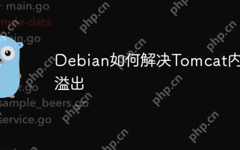 Debian如何解决Tomcat内存溢出