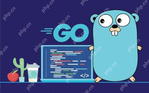 如何在 Go 语言项目中有效进行代码测试与调试？