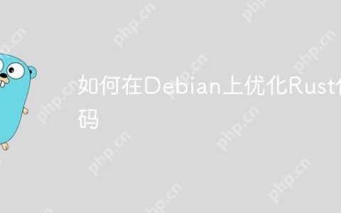 如何在Debian上优化Rust代码