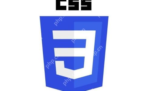 css中p是什么意思 css中p标签的定义说明