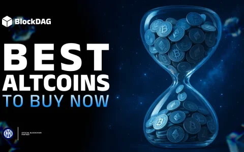 现在要购买的前5个Altcoins