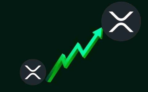 XRP价格预测：XRP会达到$ 1,000吗？