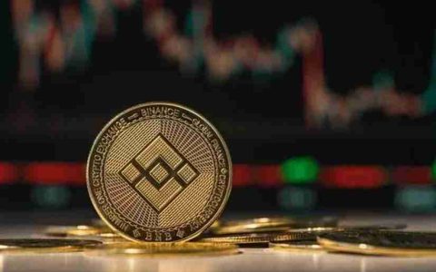 在过去的几个月中，BNB价格表现出相对较强的波动性