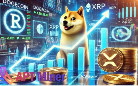 APT矿工：XRP和Dogecoin持有者的最佳云采矿平台