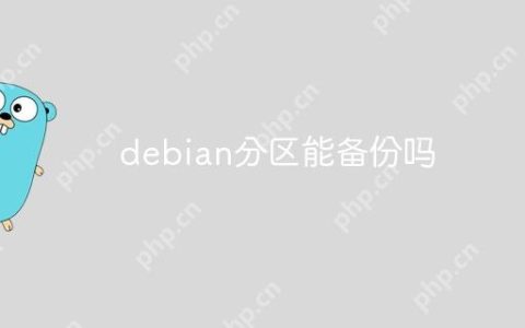 debian分区能备份吗