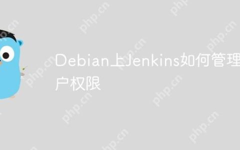 Debian上Jenkins如何管理用户权限