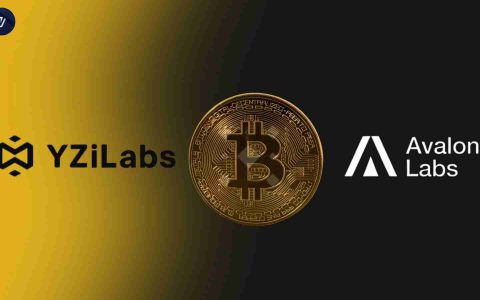 Yzi Labs投资于比特币 – 先驱分散的财务（DEFI）公司Avalon Labs