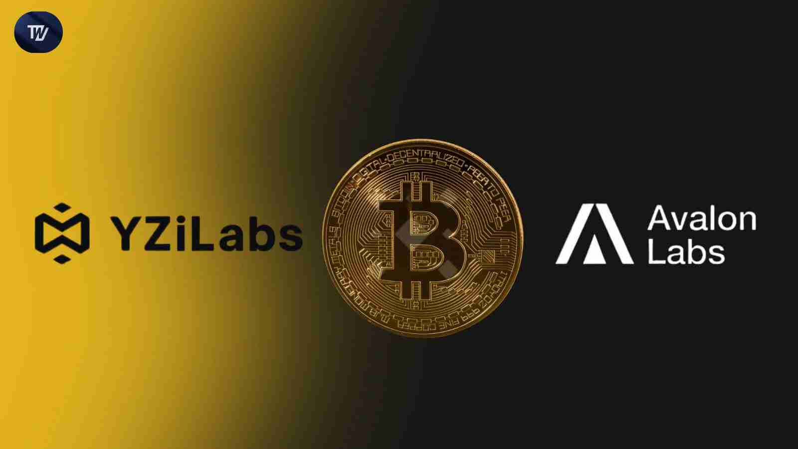 Yzi Labs投资于比特币 - 先驱分散的财务(DEFI)公司Avalon Labs