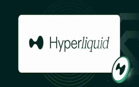 HyperLiquid(HYPE)币是什么?HYPE币价分析及未来展望介绍