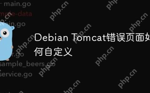 Debian Tomcat错误页面如何自定义