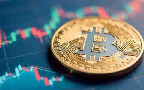比特币市占率上升说明什么？比特币市占率与币价的关系