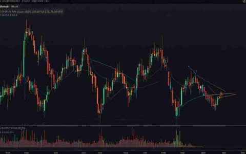 XRP是XRP Ledger的固有加密货币，在2025年再次进入最前沿