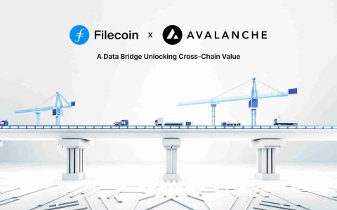 AVA Labs和Filecoin基金会启动了本地跨链数据桥