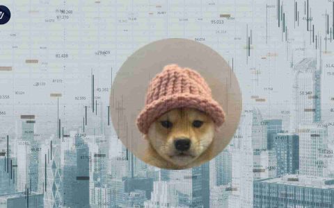 WIF的交易价格为1.13美元，在最后24小时范围内拥有稳定的价值，并具有实质性的交易活动。令牌反映了固体流动性